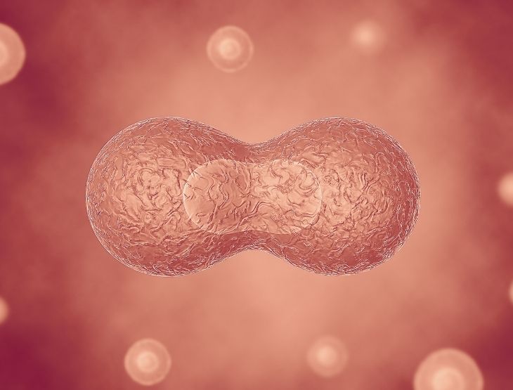 Antifungico_Gileadpro_carditem_homepage