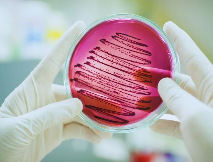 Hemato-oncologia_Gileadpro_carditem_homepage